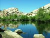 Joshua Tree National Park
