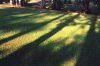 Oregon Park Disc Golf Course