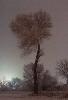 Snowy Night